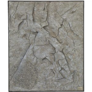 The Rock